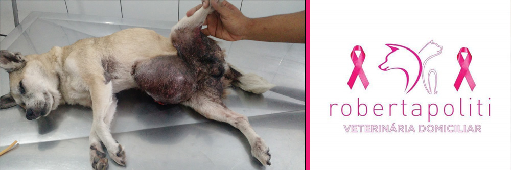 Outubro Rosa