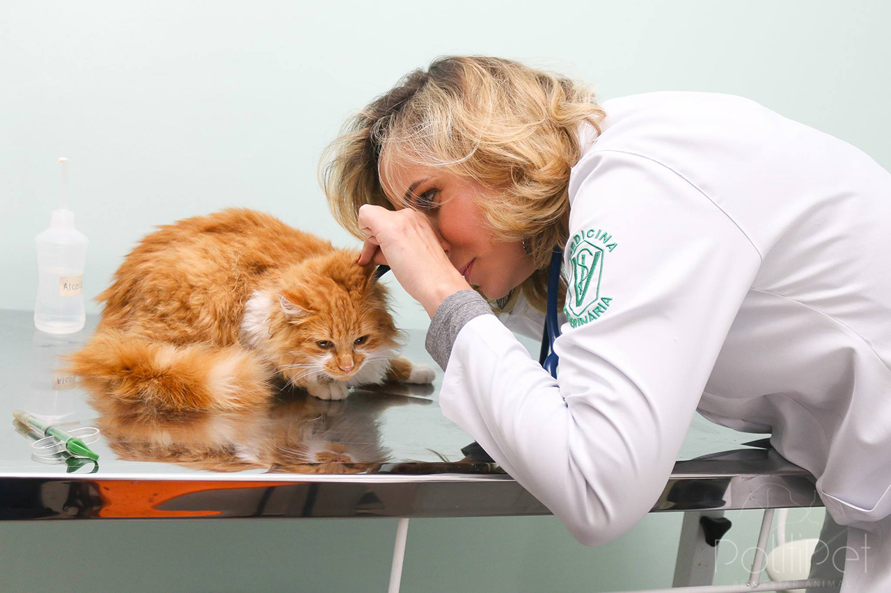 Tutor, voc sabe qual  o agente que est causando a otite no seu pet?
