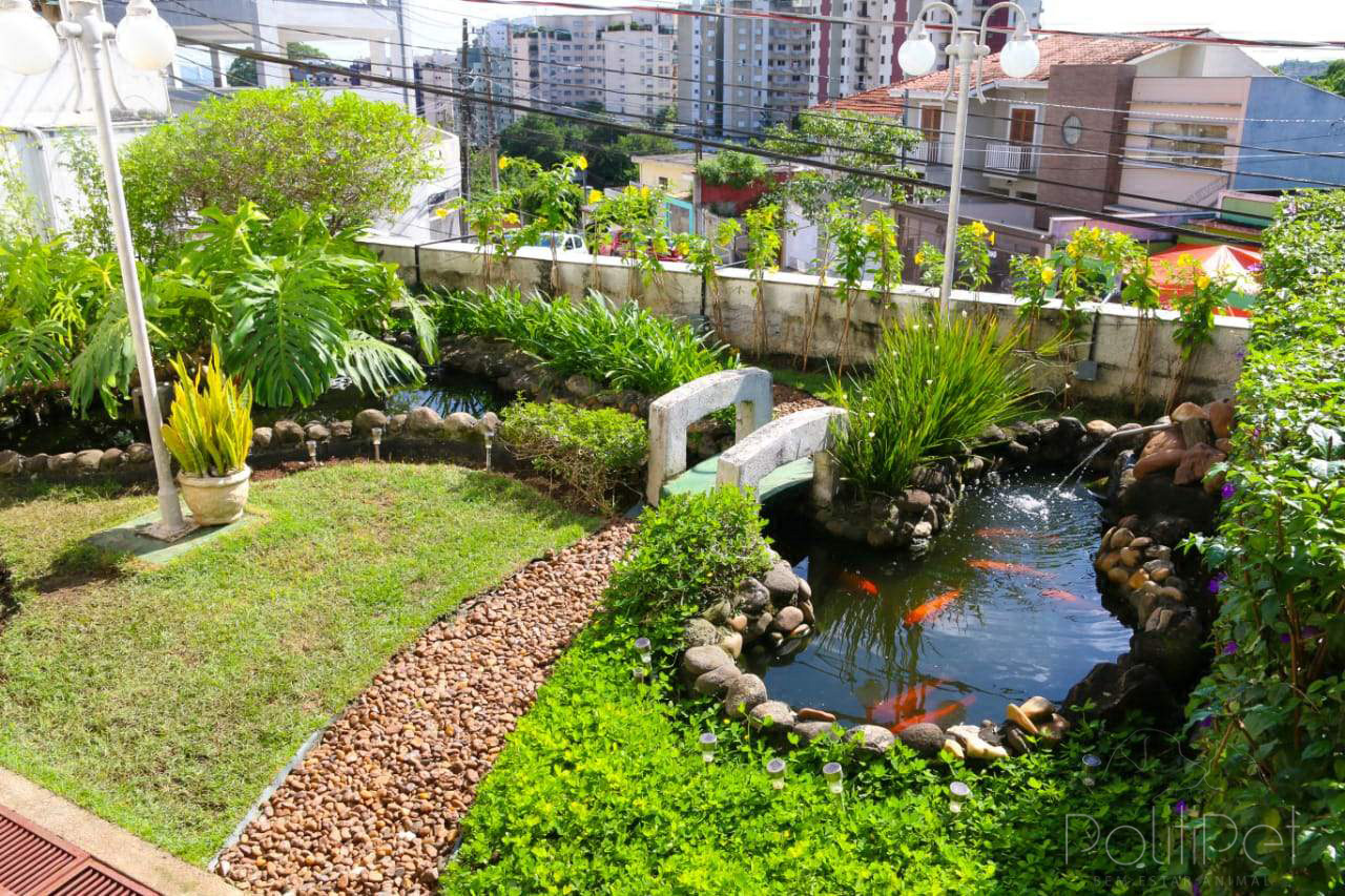 consultorio-006.jpg
