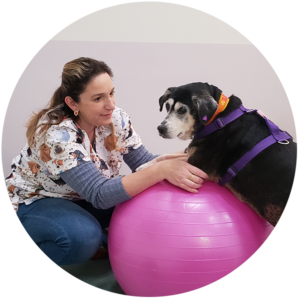 Dra. Mayra Silva - Veterinria