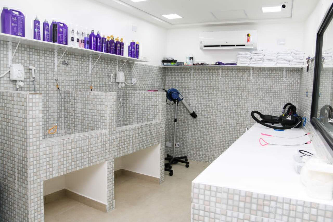 estetica-animal-001.jpg