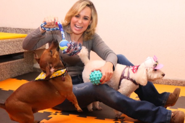 Pets e seus Brinquedos Perigos e Benefcios